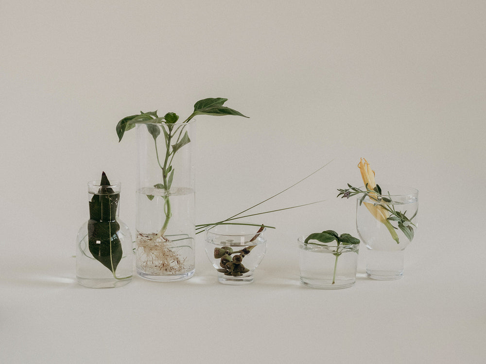 Herbal Must-Haves <br> for Hitting The Road