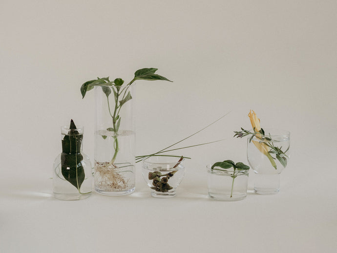 Herbal Must-Haves <br> for Hitting The Road