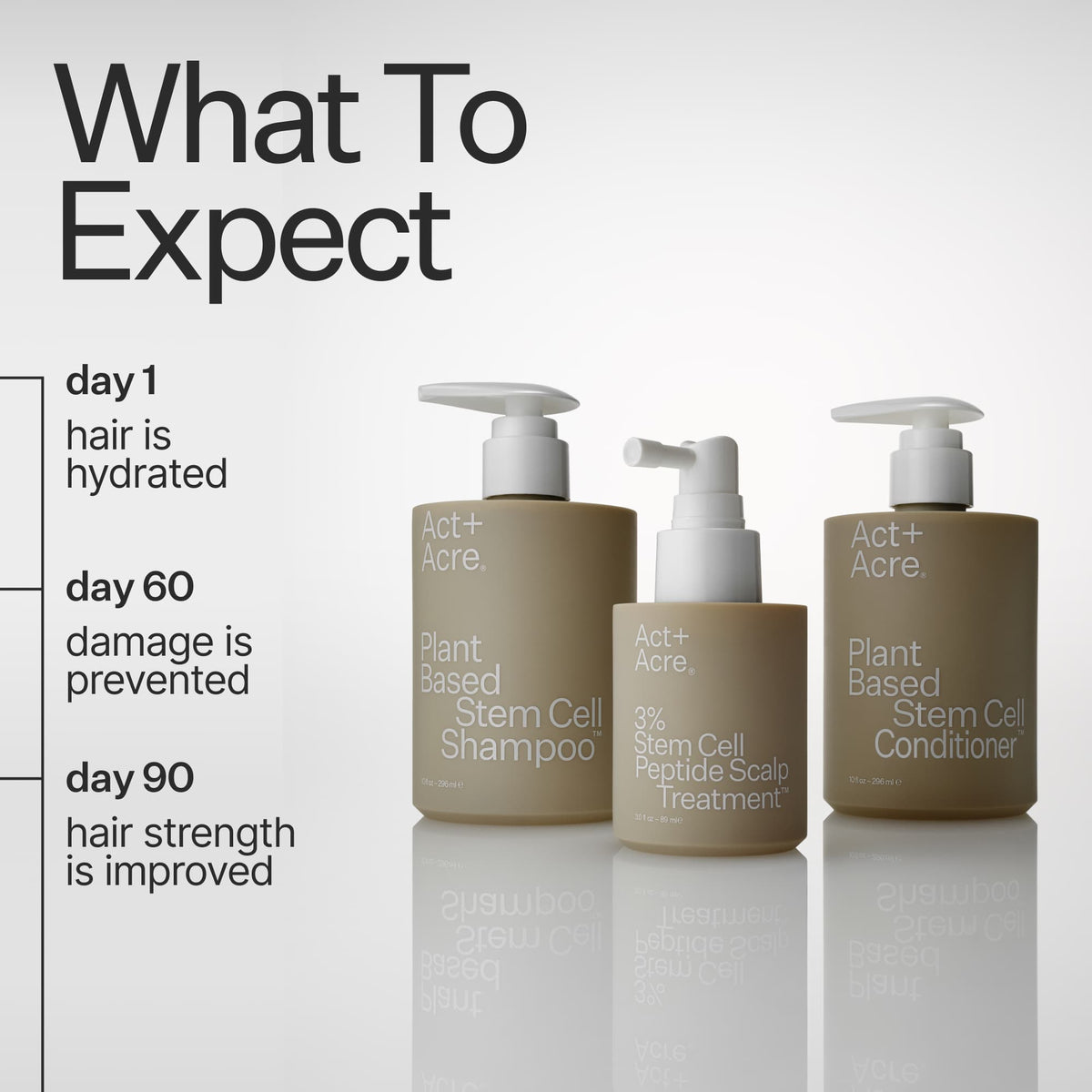 Infographic describing what to expect when using Act+Acre Stem Cell Conditioner