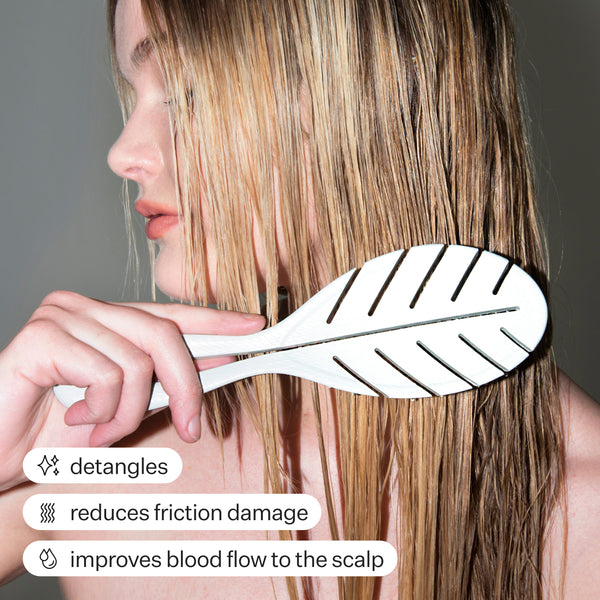 Detangling Hair Brush